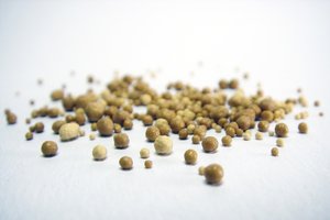 A close-up of small brown bits on a white surface, highlighting the texture and details of yeast extract