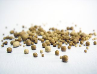A close-up of small brown bits on a white surface, highlighting the texture and details of yeast extract